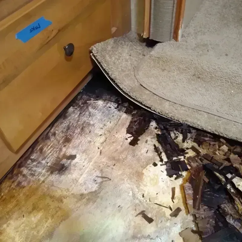 Wood Floor Water Damage in Desert View Highlands, CA